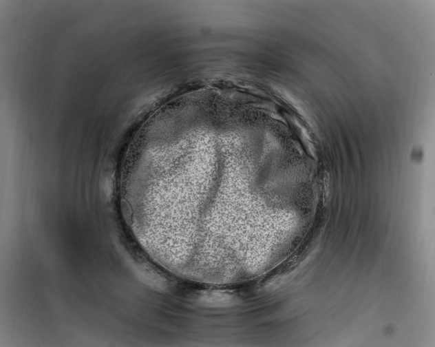 X0000101170451200807111056