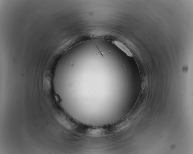 X0000101170452200807111056
