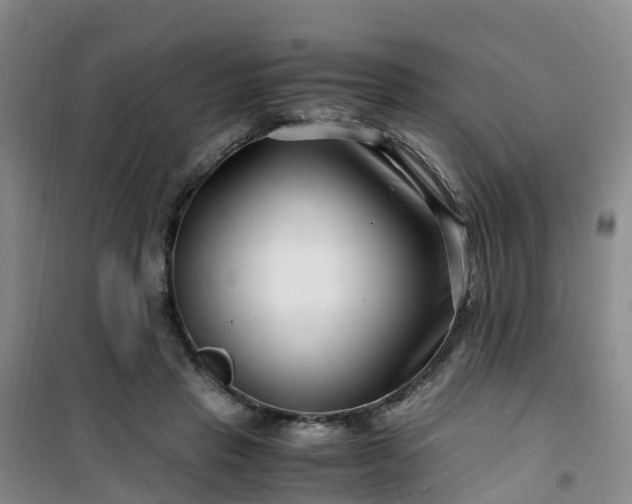 X0000101170453200807111056
