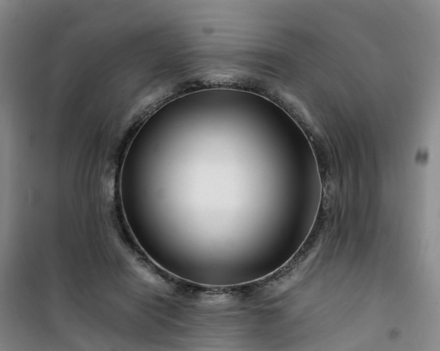 X0000101170454200807111056