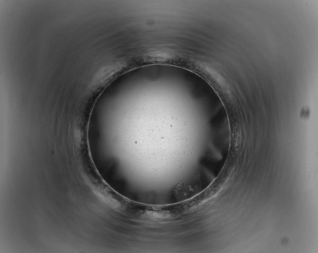 X0000101170455200807111056