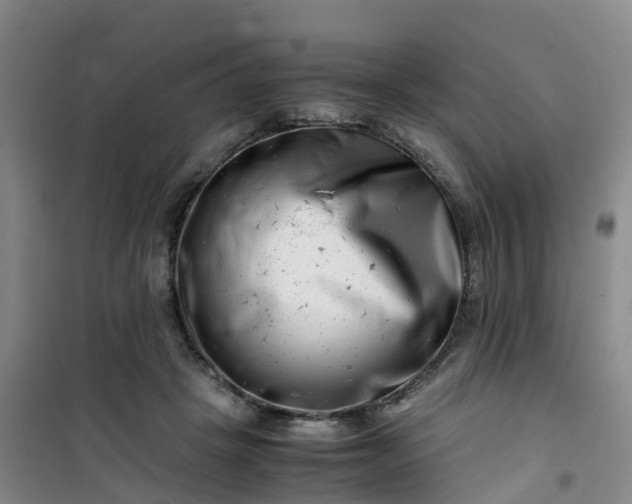 X0000101170457200807111056