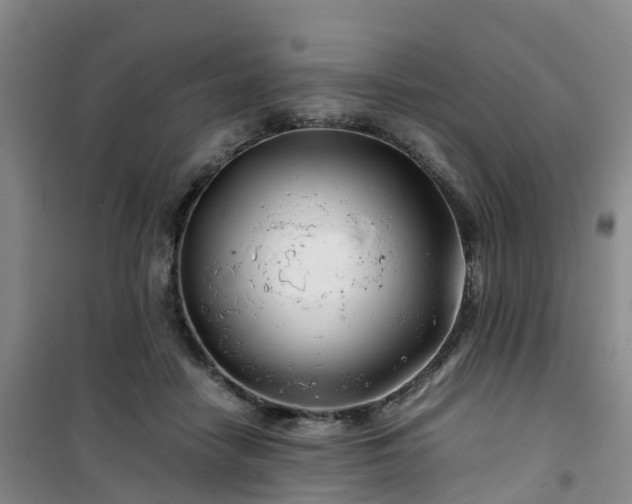 X0000101170458200807111056