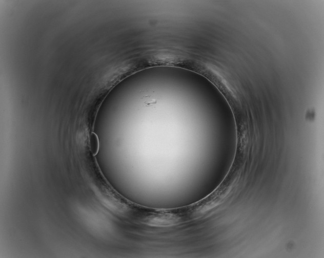 X0000101170459200807111056
