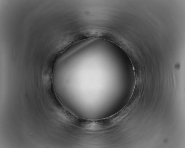 X0000101170460200807111056