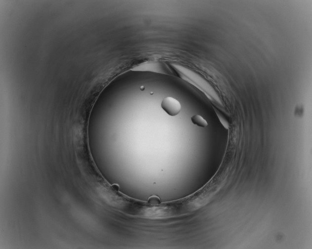 X0000101170461200807111056