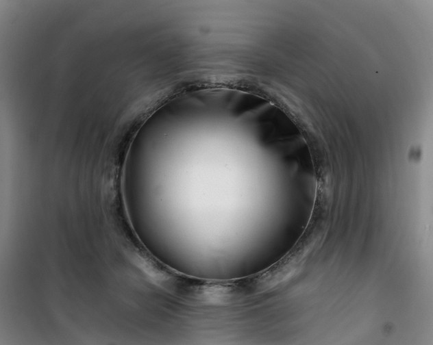 X0000101170462200807111056