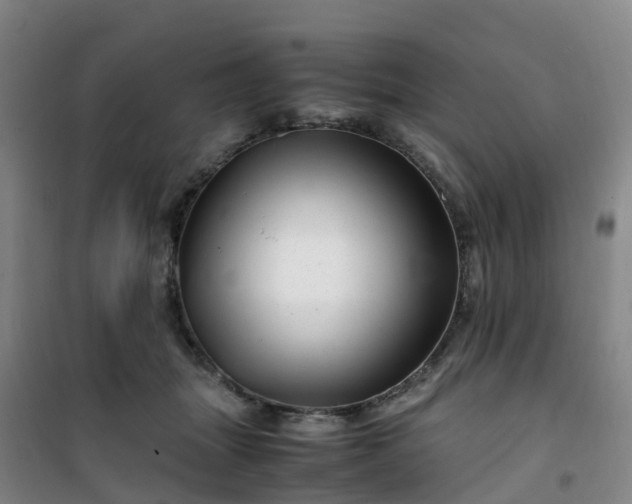 X0000101170463200807111056