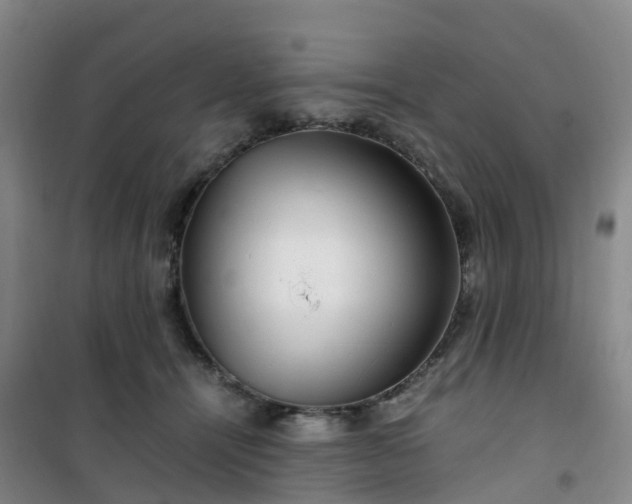 X0000101170464200807111056