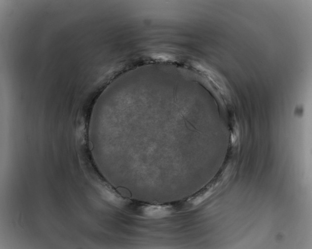 X0000101170465200807111056