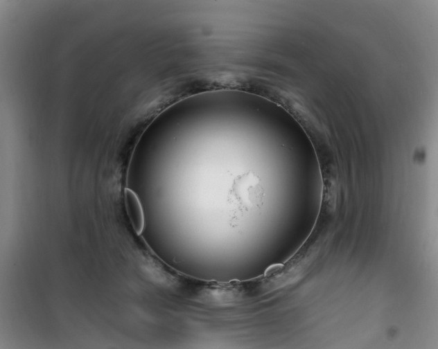 X0000101170466200807111056