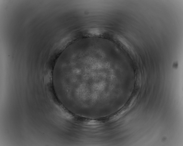 X0000101170467200807111056