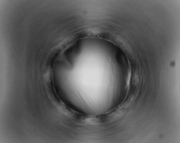 X0000101170468200807111056