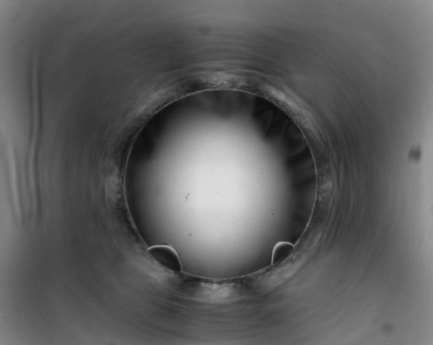X0000101170469200807111056