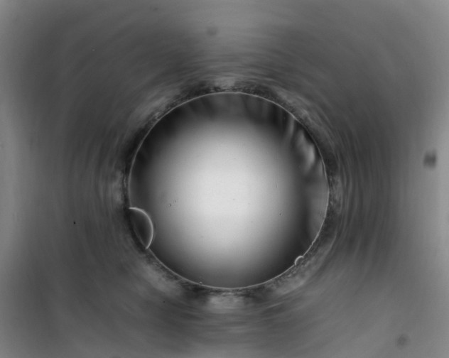 X0000101170470200807111056