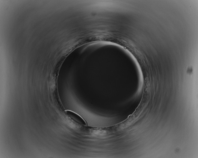 X0000101170471200807111056