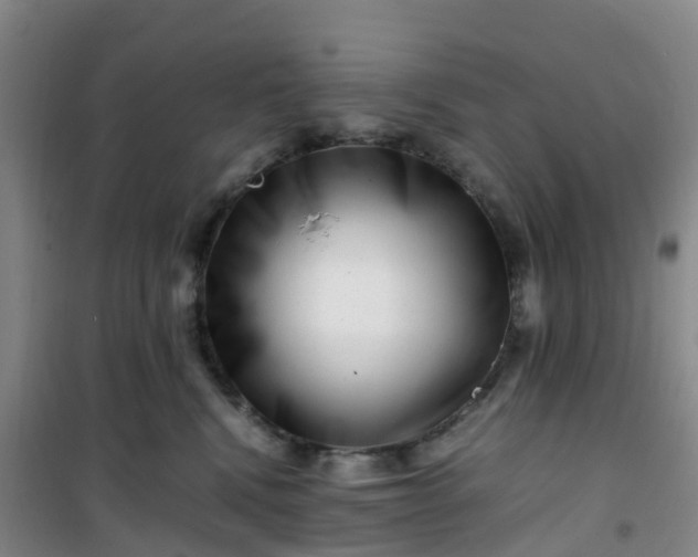 X0000101170472200807111056