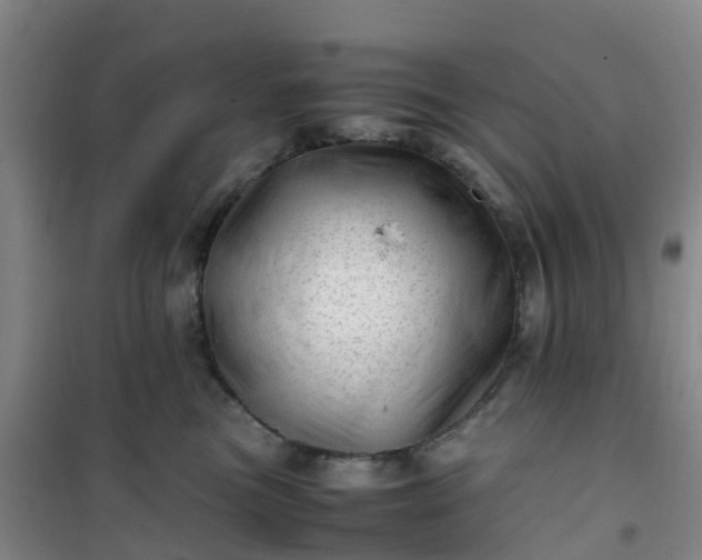 X0000101170473200807111056