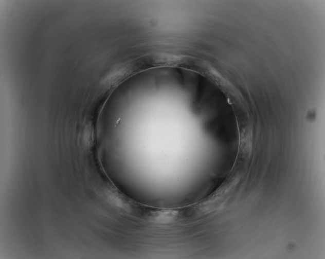 X0000101170474200807111056