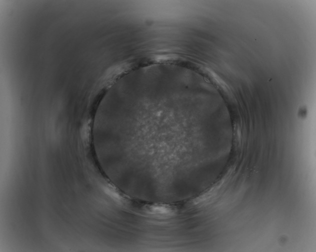 X0000101170475200807111056