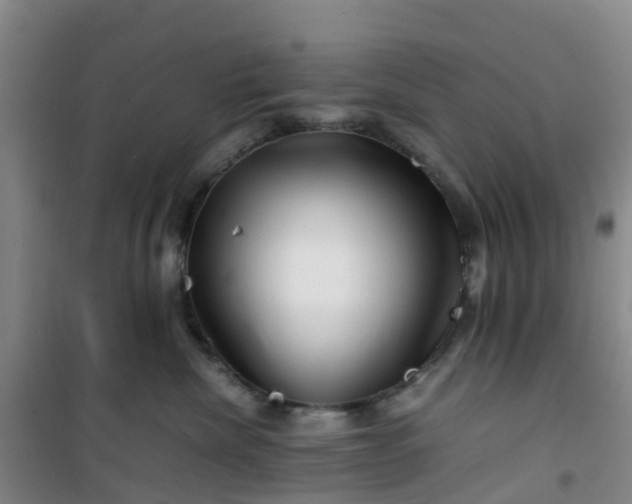 X0000101170476200807111056