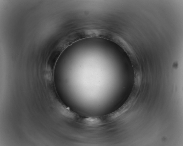 X0000101170477200807111056