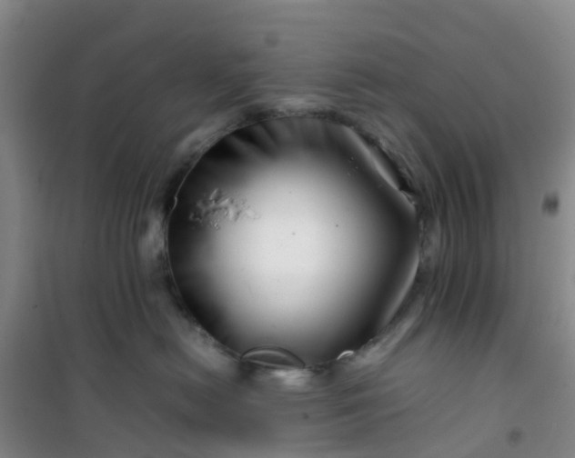 X0000101170478200807111056