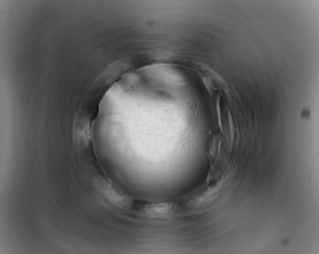 X0000101170479200807111056