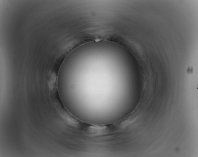 X0000101170480200807111056