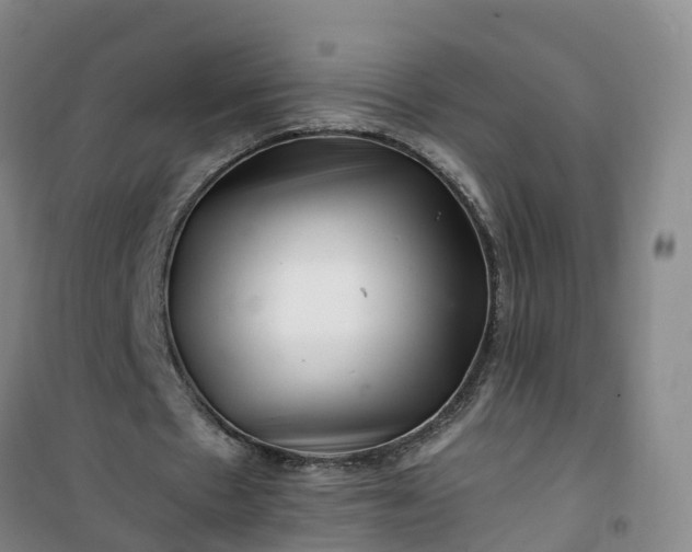 X0000101170481200807111055