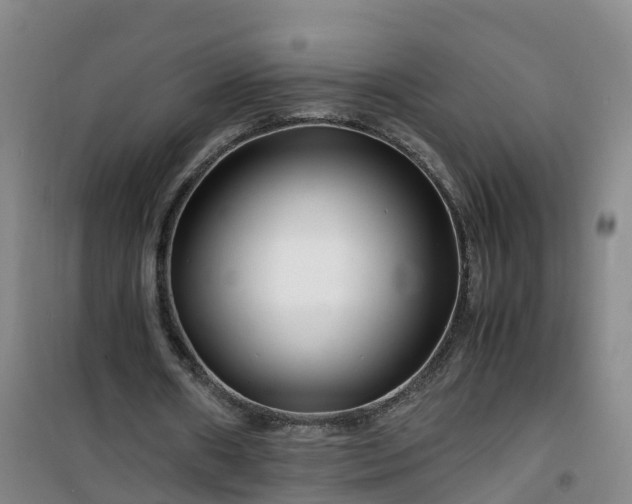 X0000101170482200807111055