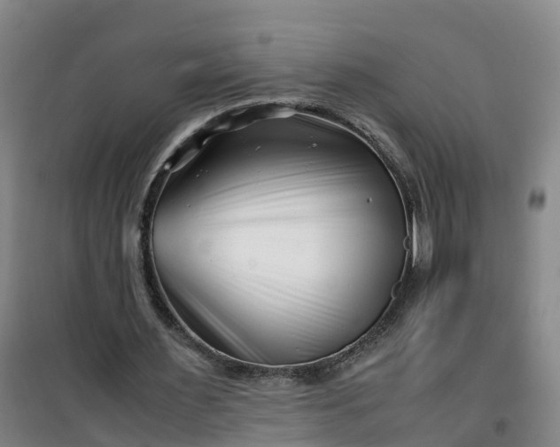 X0000101170483200807111055