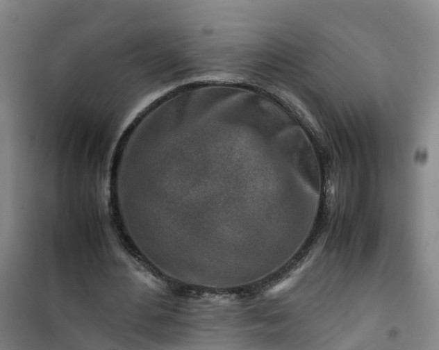 X0000101170484200807111055