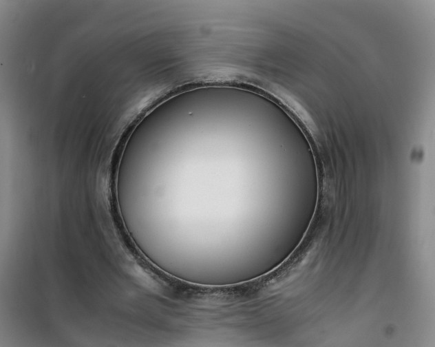 X0000101170485200807111055
