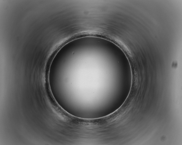X0000101170486200807111055