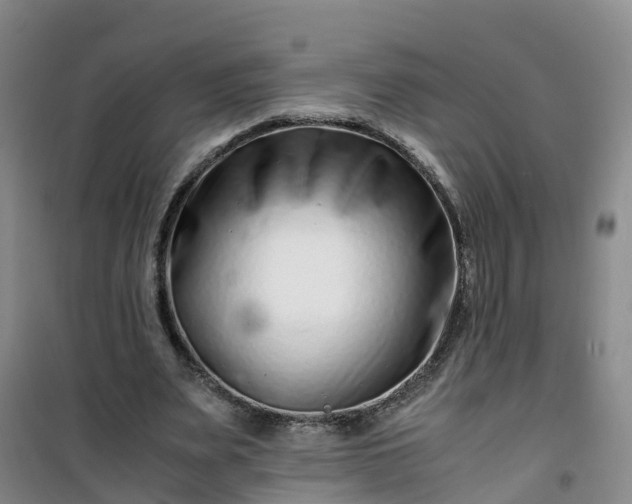 X0000101170487200807111055