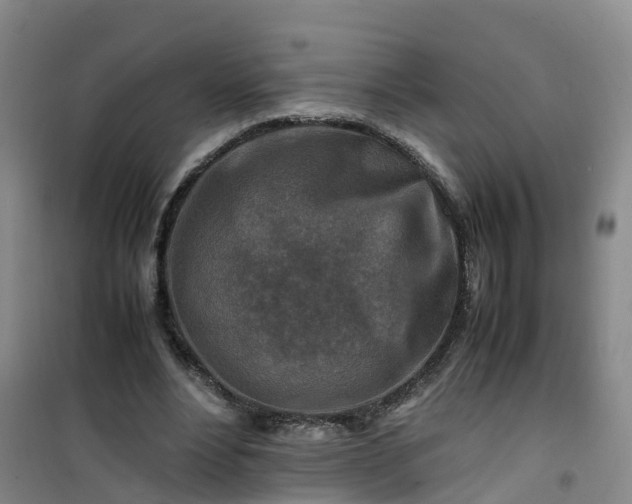 X0000101170488200807111055