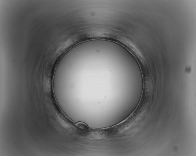X0000101170489200807111055
