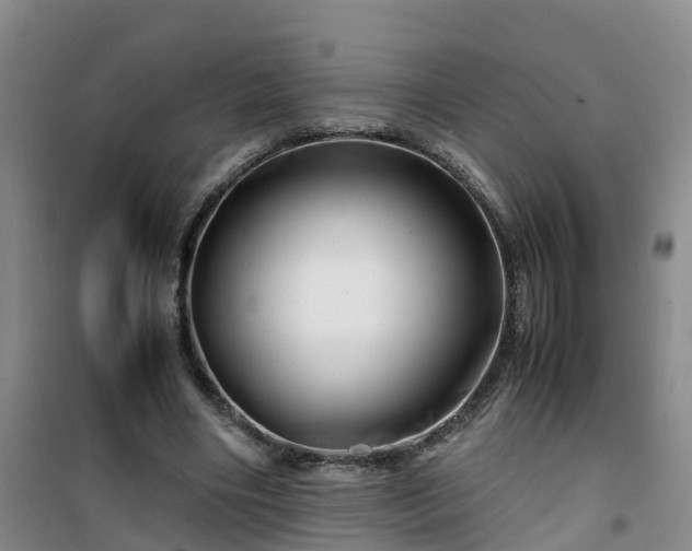 X0000101170490200807111055