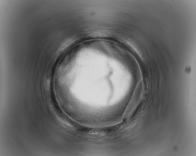 X0000101170491200807111055