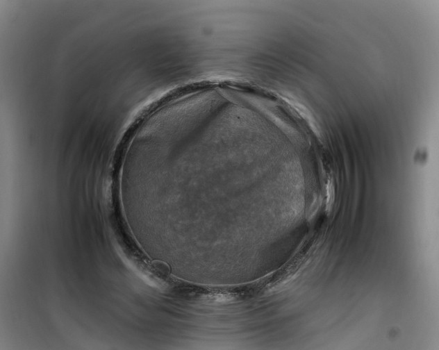 X0000101170492200807111055
