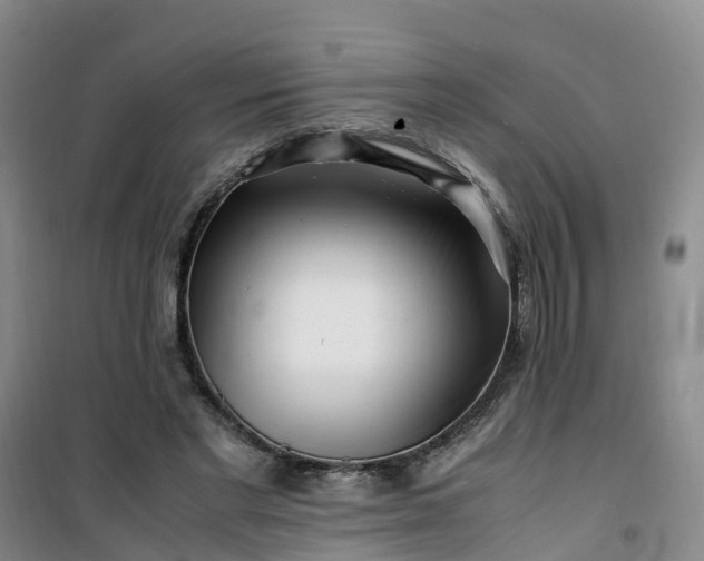 X0000101170493200807111055