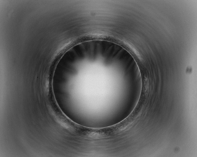X0000101170494200807111055