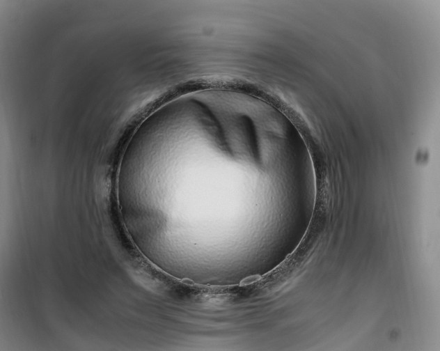 X0000101170495200807111055