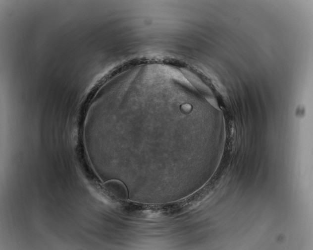 X0000101170496200807111055