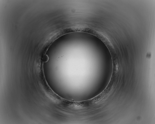 X0000101170498200807111055