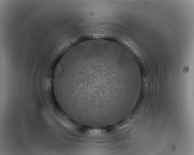 X0000101170499200807111055