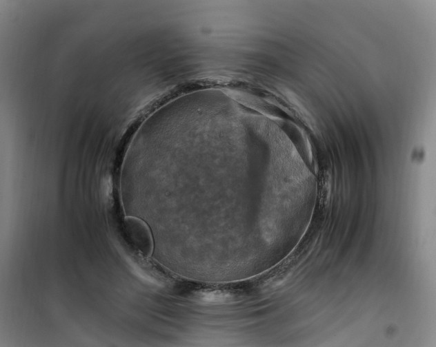 X0000101170500200807111055