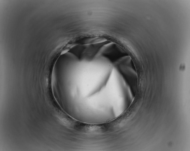 X0000101170501200807111055