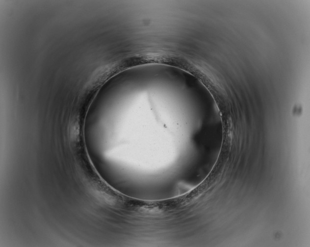 X0000101170502200807111055